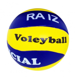 Bola Vôlei Raiz