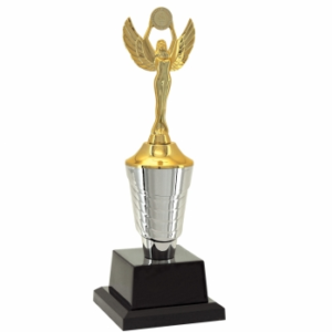 Troféu Vitoria Honra ao Mérito 501391